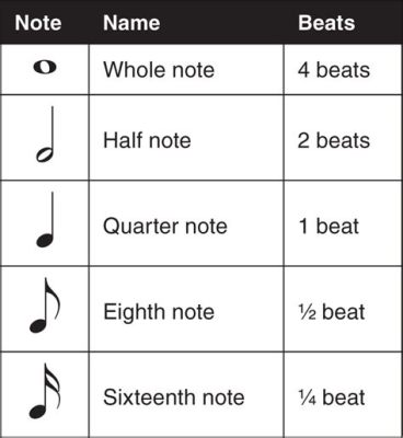 What Is a Stem in Music and Its Enigma Behind the Notes